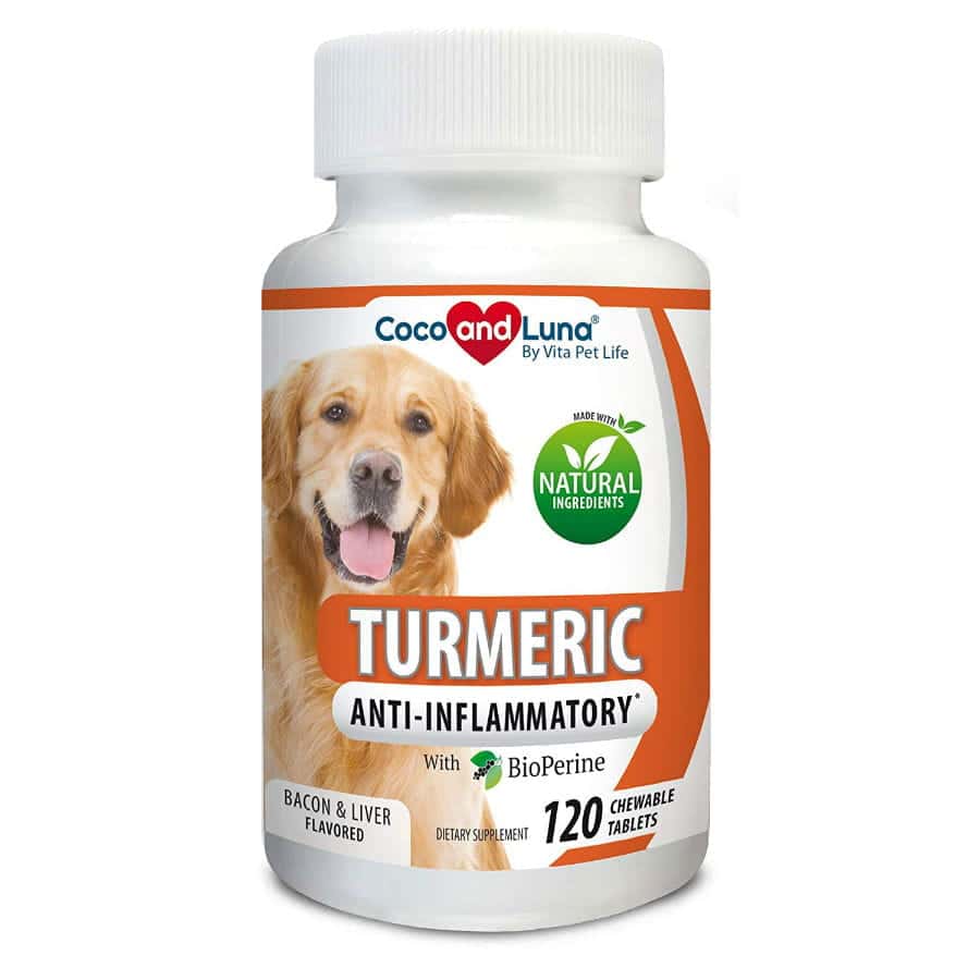 turmeric dog chews