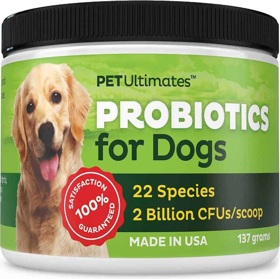 Best Probiotics For Dogs & Puppies Acidophilus Powder & Soft Chews