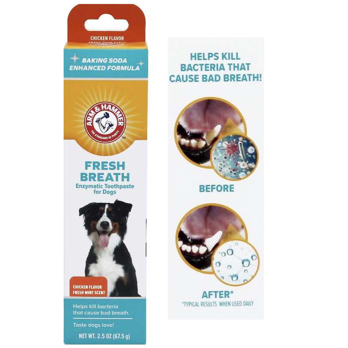 hypoallergenic dog toothpaste