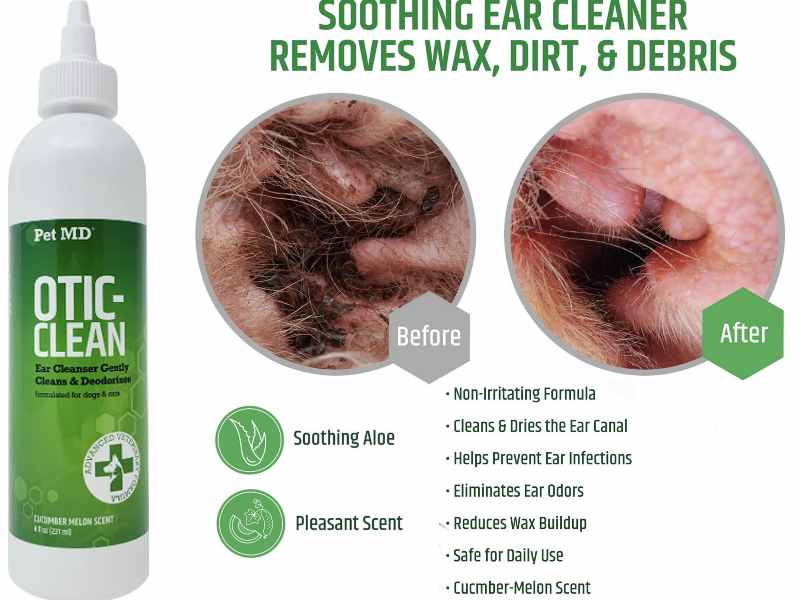 Best Ear Cleaner For Dogs Canine Ear Wash & Ear Cleaning Solutions