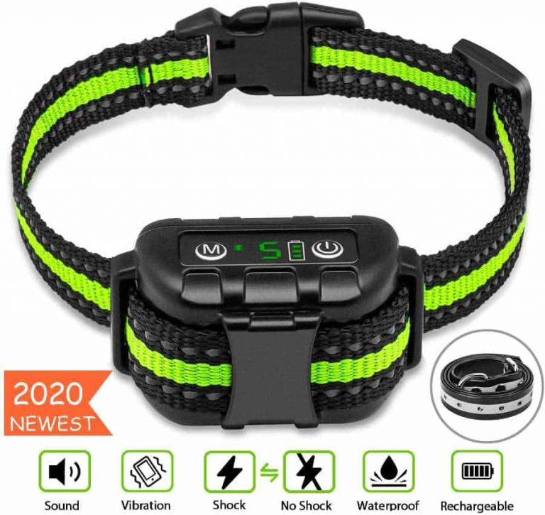 shock collar reviews