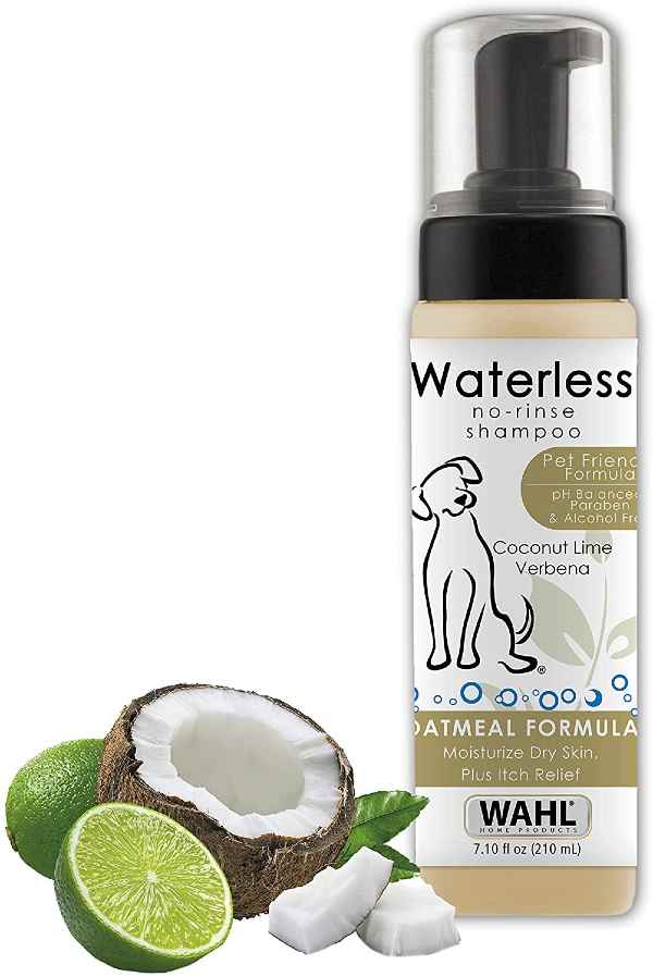Best Waterless Dog Shampoo Reviews 2022, Soapless Dry Bath Puppy Wash