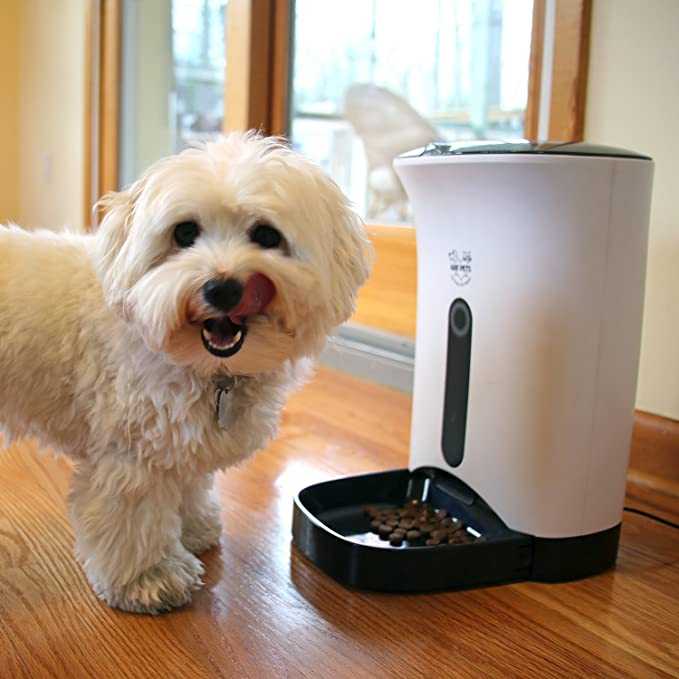 automatic puppy feeder