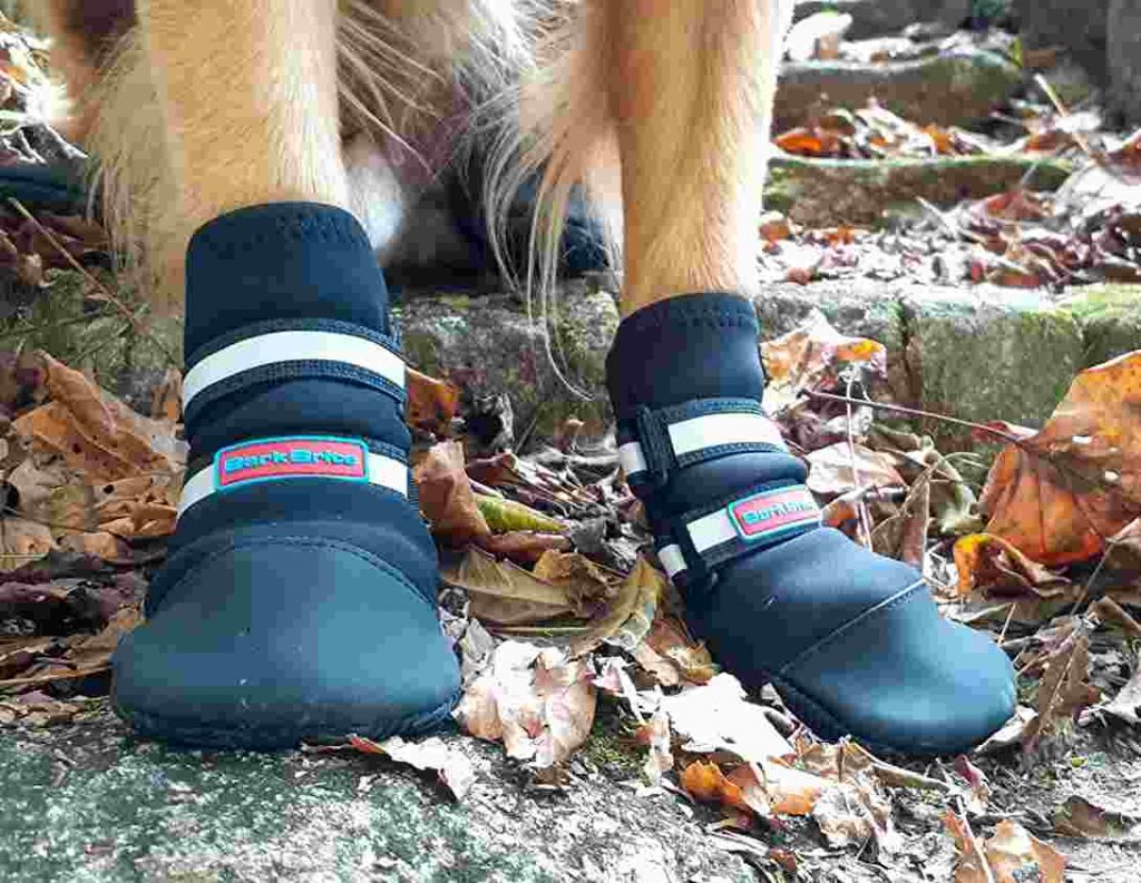 Best Dog Boots For Snow Winter & Nonslip Dog Booties For Hiking 2022