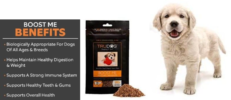 trudog boost me reviews
