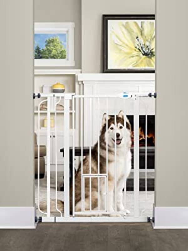 large dog gates indoor
