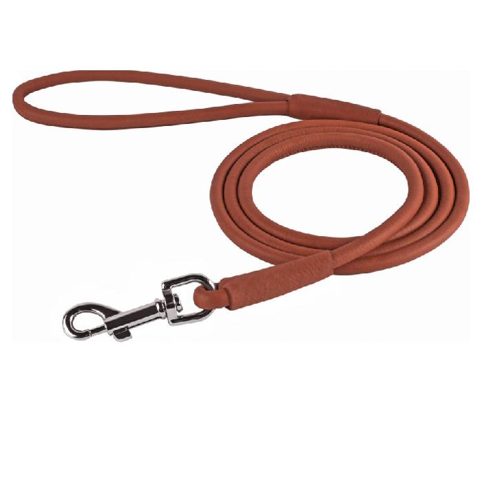 best leather dog leash
