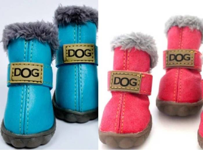 Best Dog Boots For Snow Winter & Nonslip Dog Booties For Hiking 2022