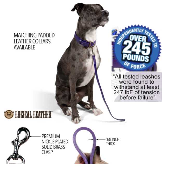 logical leather leash