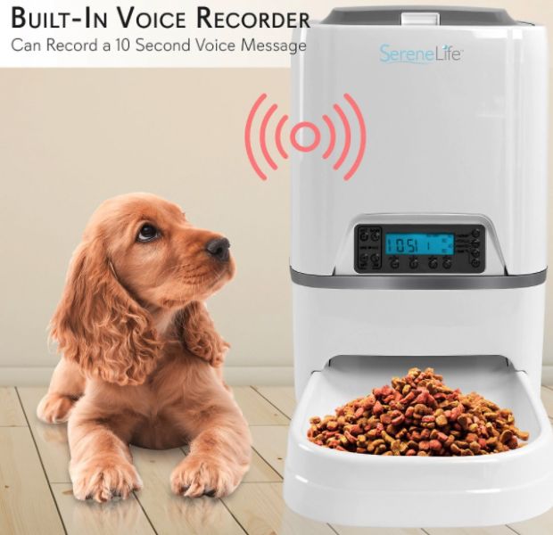 scheduled dog feeder