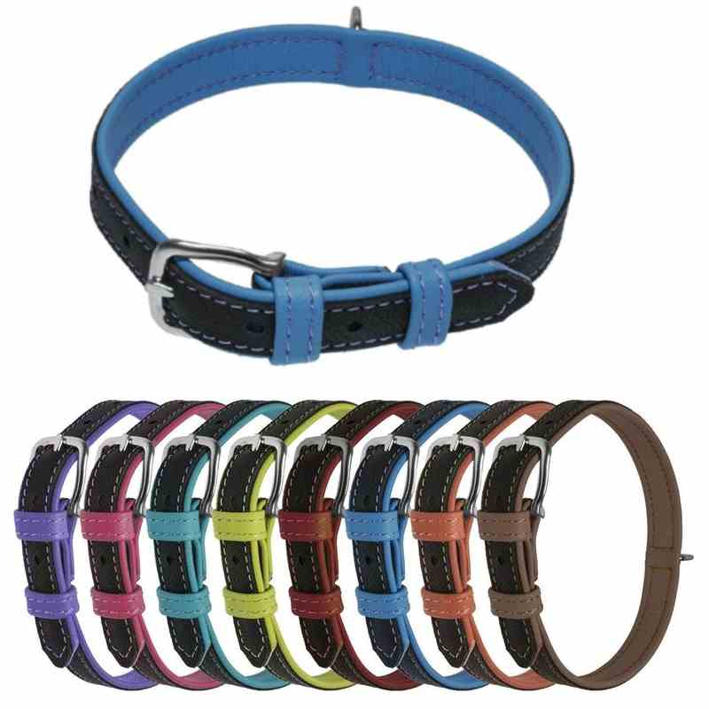 flat buckle dog collar