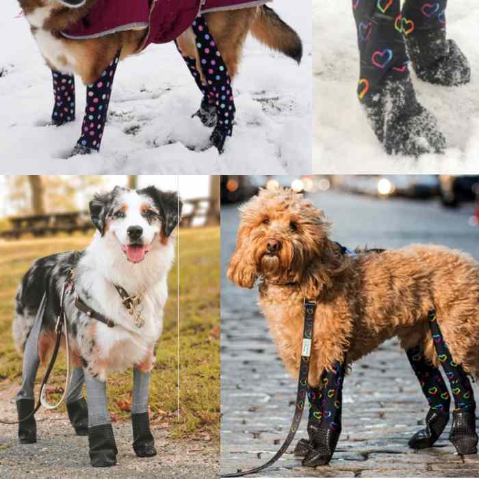Best Dog Boots For Snow Winter & Nonslip Dog Booties For Hiking 2022