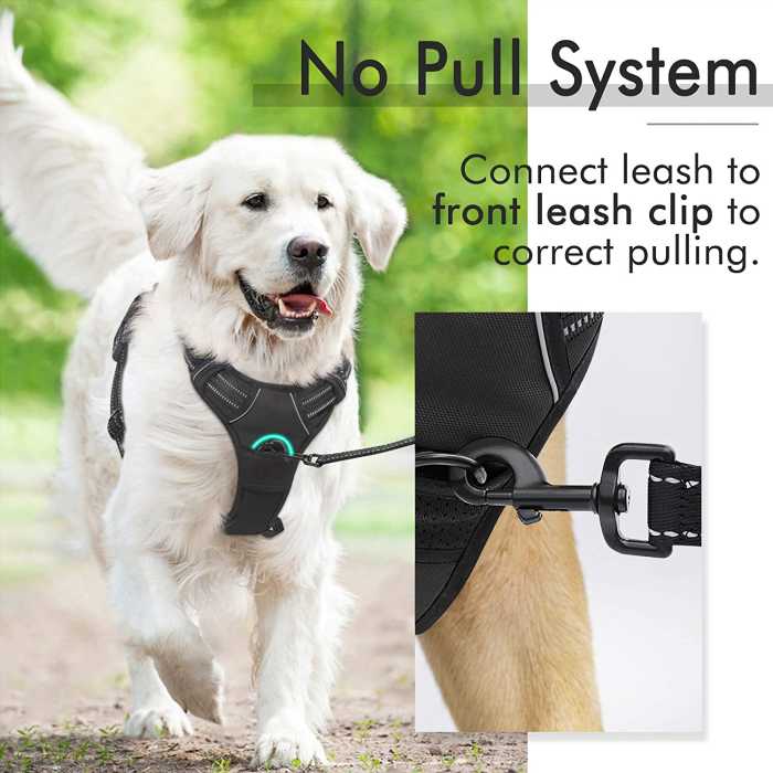 big dog harness no pull adjustable