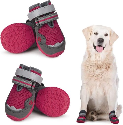 Best Dog Shoes For Summer Heat Paws Booties For Hot Pavement Walking 2023