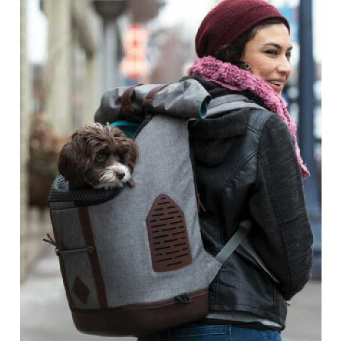 pitbull backpack carrier