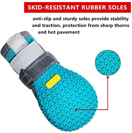 Best Dog Shoes For Summer Heat Paws Booties For Hot Pavement Walking 2022