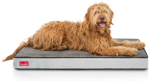brindle soft memory foam dog bed