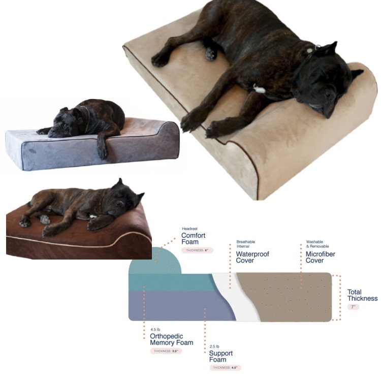 bully beds orthopedic memory foam dog bed