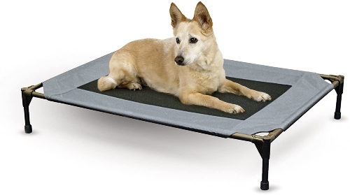 elevated sling dog bed