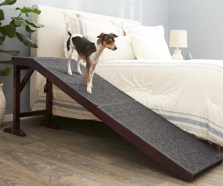 ramp dog bed