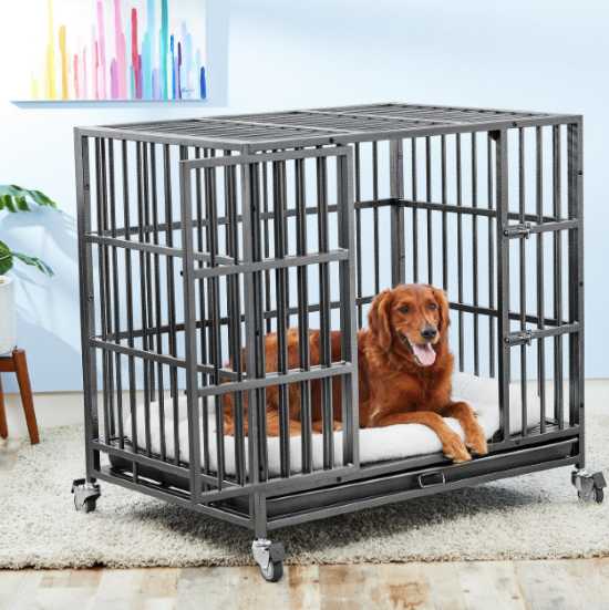 chew proof kennel