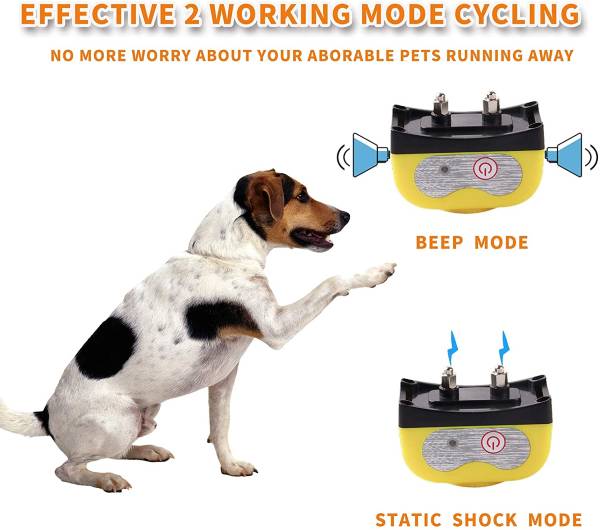 Best Wireless Dog Fence Reviews 2023