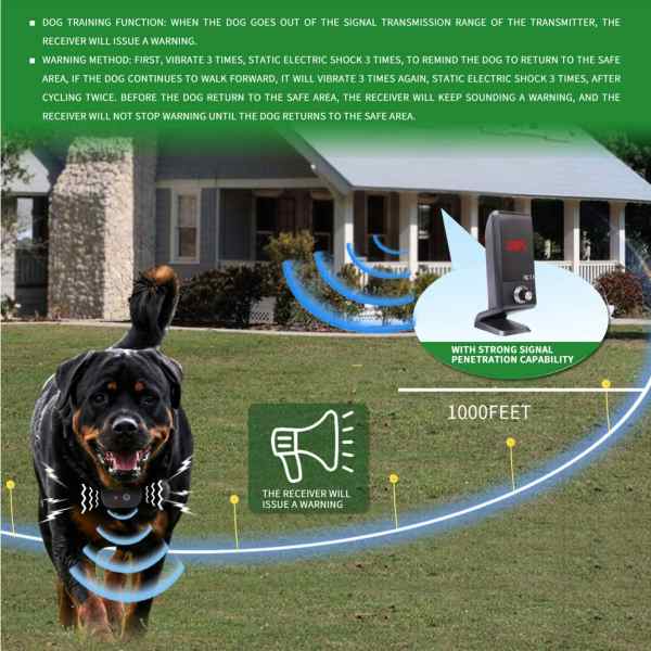 Best Wireless Dog Fence Reviews 2022