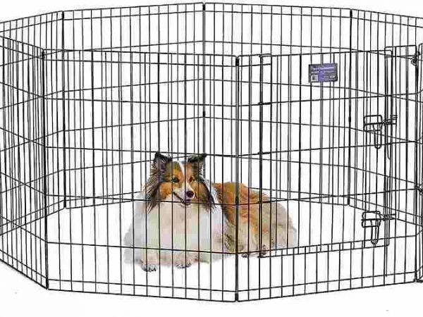 small dog exercise pen