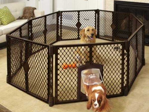 enclosed dog playpen
