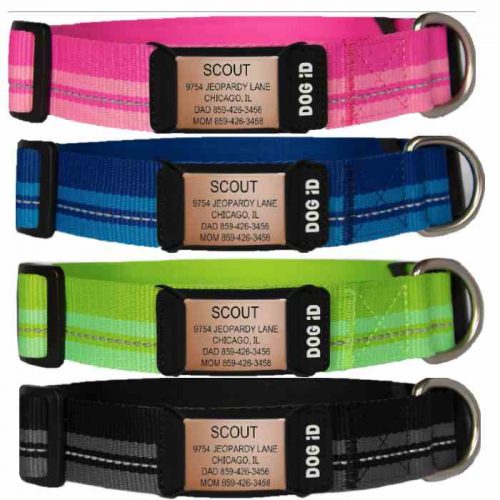 best personalized dog collar