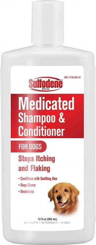 gnc antibacterial dog shampoo
