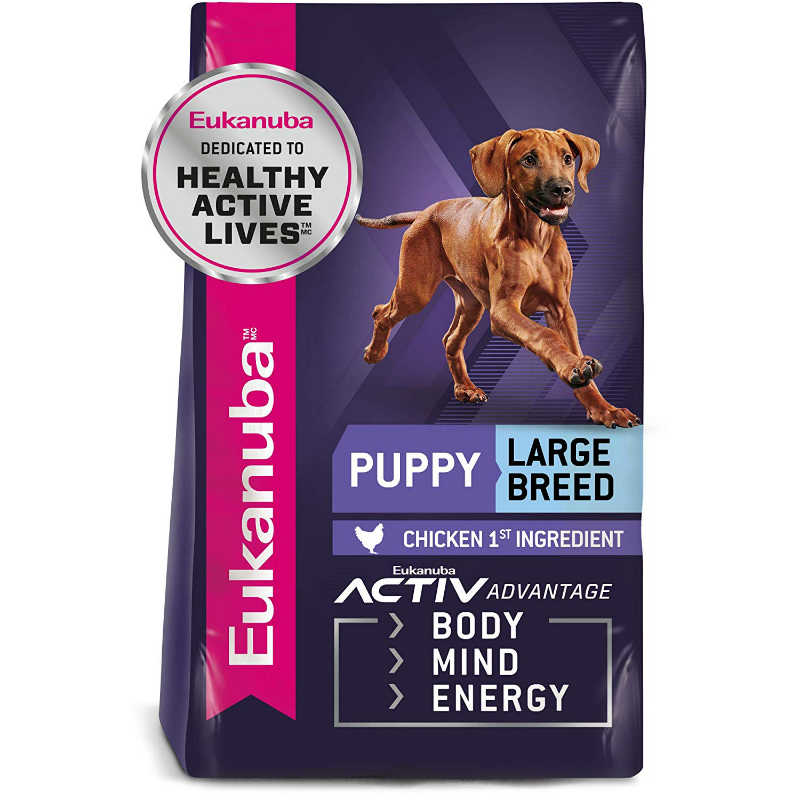 Eukanuba-Large-Breed-Puppy-Dry-Dog-Food