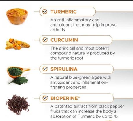 PetHonesty Turmeric Curcumin Soft Chews Ingredients