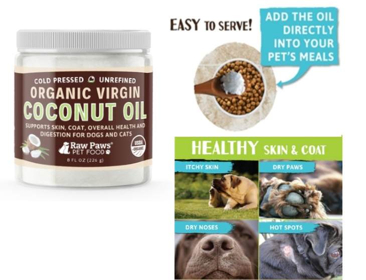 Health Benefits of Coconut Oil For Dogs