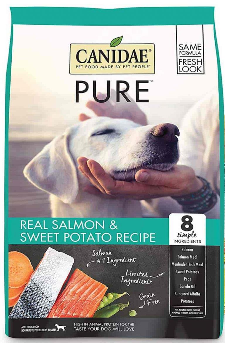 Canidae Salmon dog food