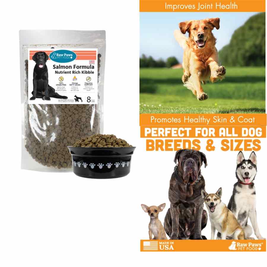 Dog Food for allergy - Grain free salmon kibble by Raw Paws