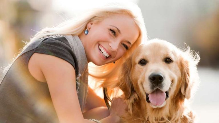 Calming Treats for Dogs