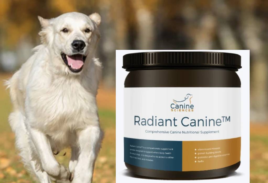 Dog Nutritional Supplement by Radiant Canine