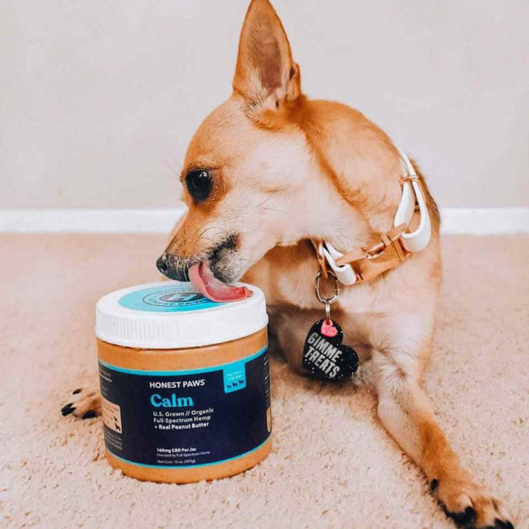 Peanut Butter For Dog