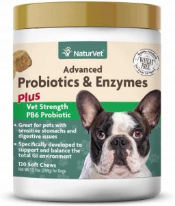 NaturVet Advanced Probiotics