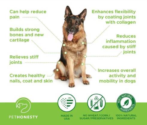 Benefits of PetHonesty HempMobility Supplement for Older Dogs