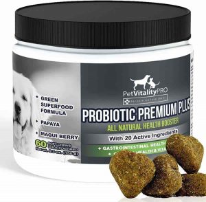 PetVitalityPro Probiotics for dogs