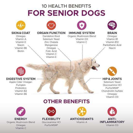 PetHonesty Senior Dog Multivitamin Chews Benefits