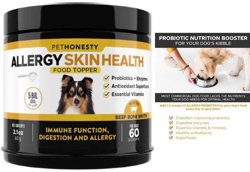 Probiotics for dog