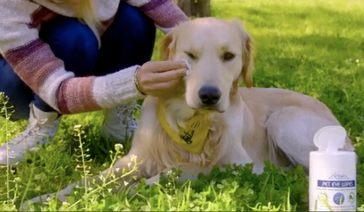 Dog Eye Wipes