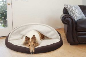 Snuggery Dog Bed