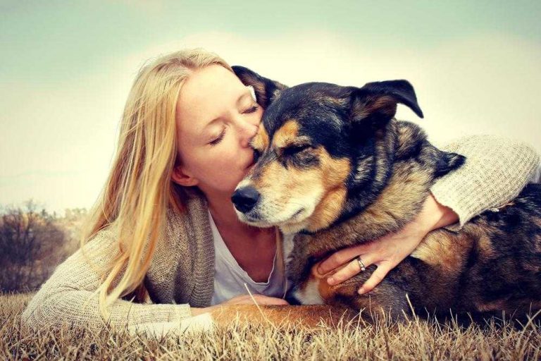 Read more about the article Things That Every First Time Dog Owner Should Know & Do