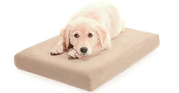 orthopaedic dog beds