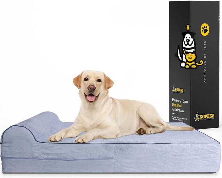 Kopexs Orthopedic Dog Bed