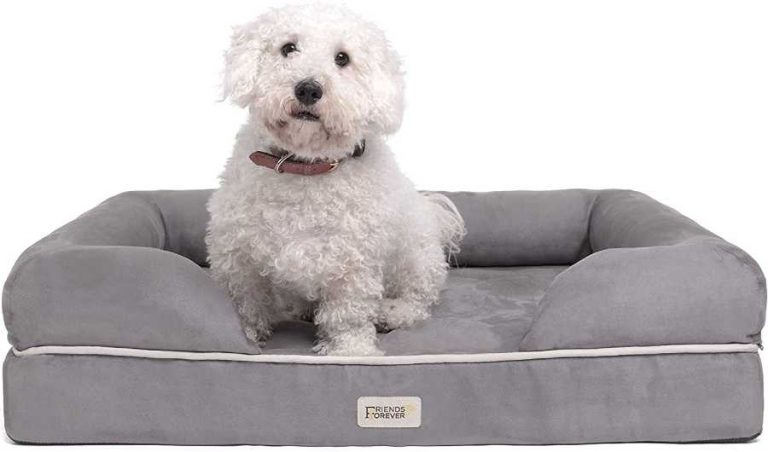 Friends Forever Orthopedic Dog Bed, small